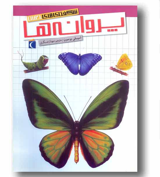 شگفتی های جهان پروانه ها
