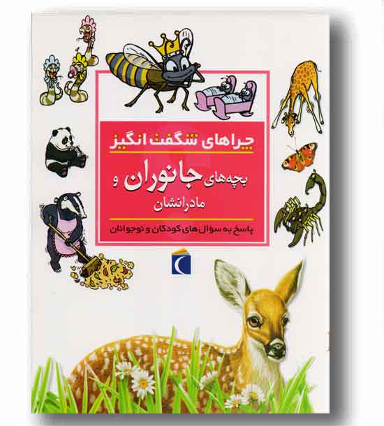 چرا های شگفت انگیز بچه های جانواران و مادرانشان