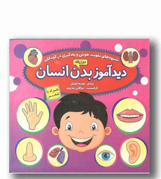 دید آموز بدن انسان دو زبانه خشتی 
