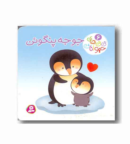 نی نی های حیوانات 6 جوجه پنگوئن