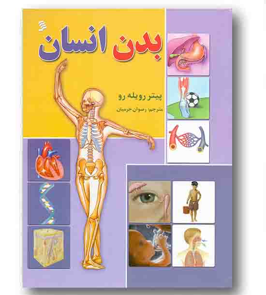 بدن انسان