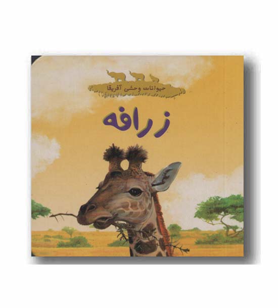 حیوانات وحشی آفریقا زرافه