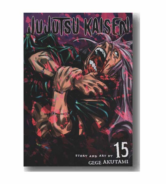 Jujutsu kaisen 15
