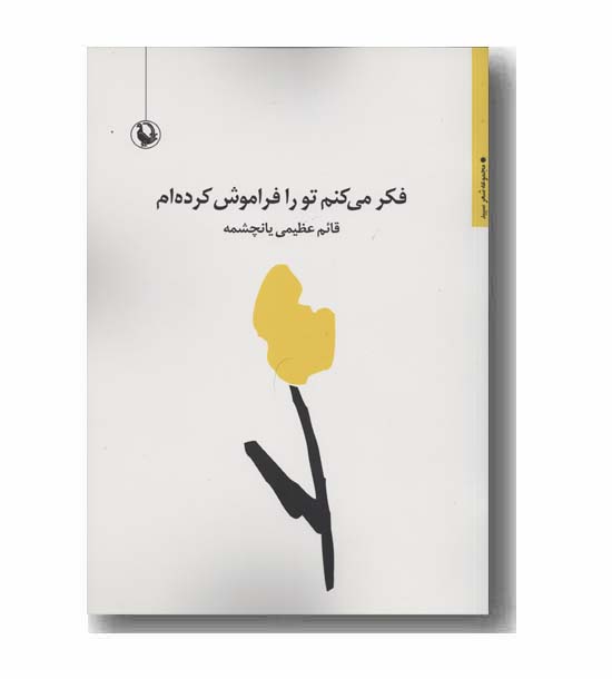 فکر می کنم تو را فراموش کرده ام