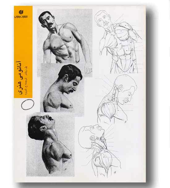 آناتومی هنری