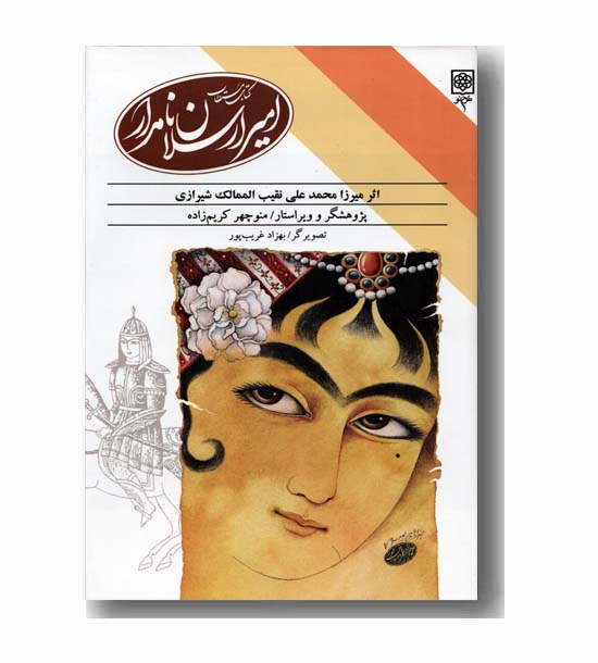 امیر ارسلان نامدار