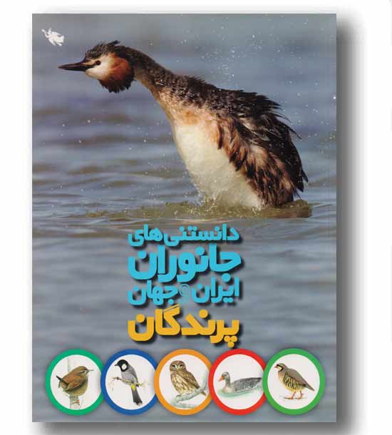 دانستنی های جانوران ایران و جهان پرندگان