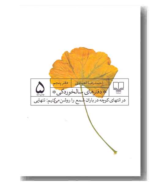 دفترهای سالخوردگی 5 در انتهای کوچه در باران شمع را روشن می کنیم تنهایی