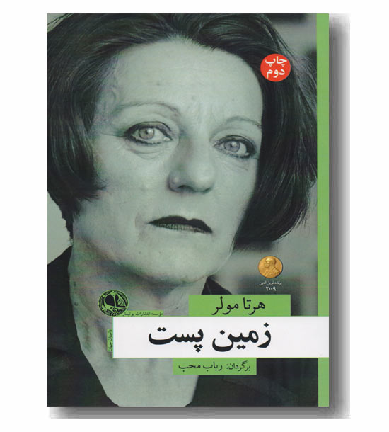 زمین پست