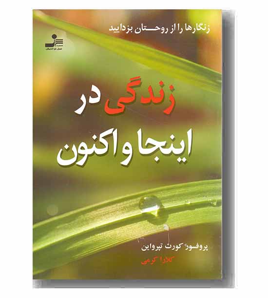 زندگی در اینجا و اکنون