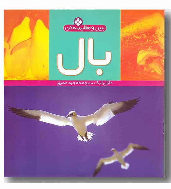 ببین و مقایسه کن 1 بال