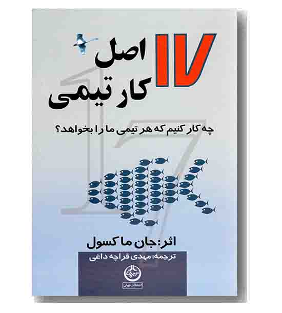 17 اصل کار تیمی
