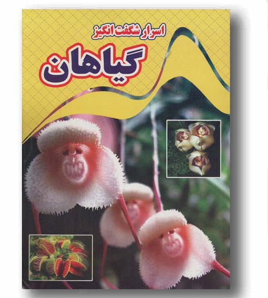 اسرار شگفت انگیز گیاهان 