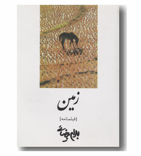 زمین 