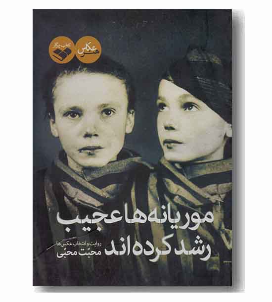موریانه ها عجیب رشد کرده اند