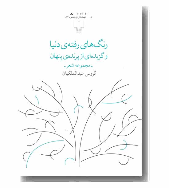 رنگ های رفته ی دنیا و گزیده ای از پرنده ی پنهان