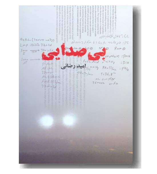 بی صدایی 
