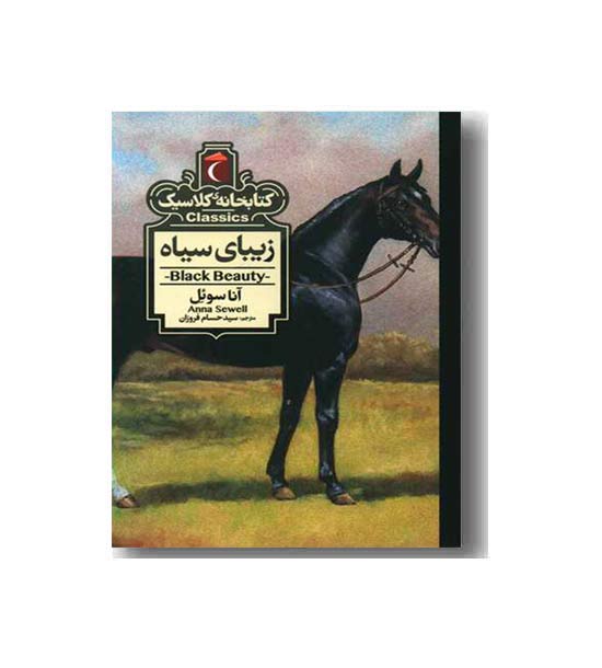 کتابخانه کلاسیک زیبای سیاه