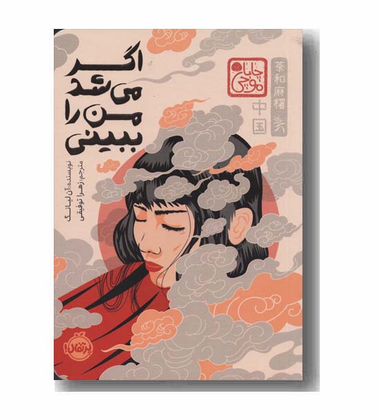 اگر می شد من را ببینی