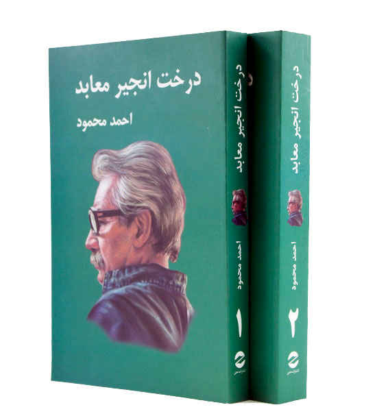 درخت انجیر معابد دوره 2 جلدی