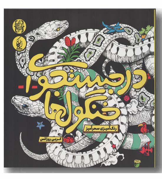 رنگ آمیزی سحرآمیز در جستجوی خنگول ها