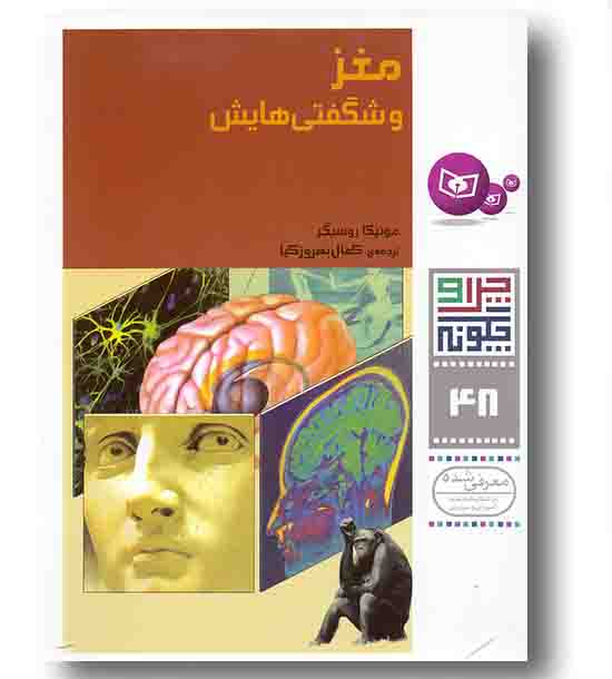 چرا و چگونه 48 مغز و شگفتی هایش