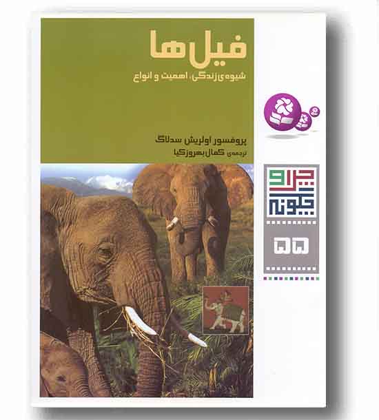 چرا و چگونه 55 فیل ها