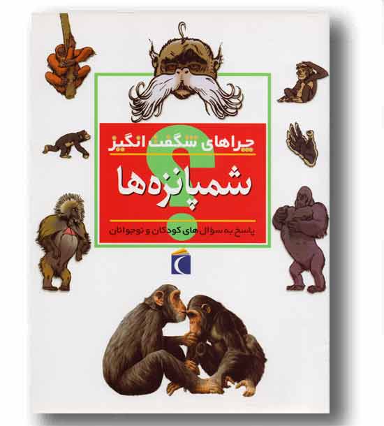 چراهای شگفت انگیز شمپانزه ها