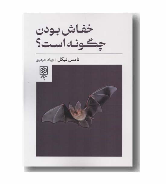 خفاش بودن چگونه است