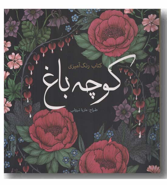 کتاب رنگ آمیزی کوچه باغ