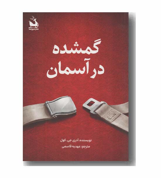 گمشده در آسمان