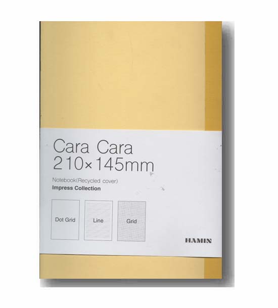 دفتر یادداشت همین cara cara زرد 929