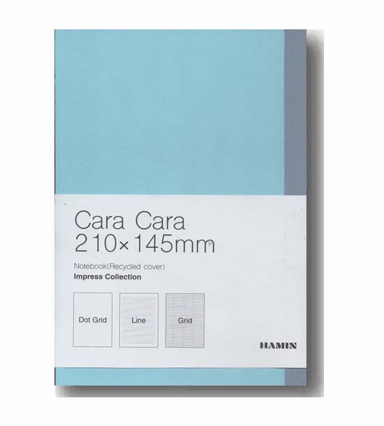 دفتر یادداشت همین cara cara فیروزه ای 875