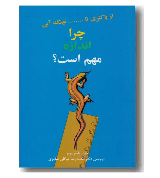 چرا اندازه مهم است