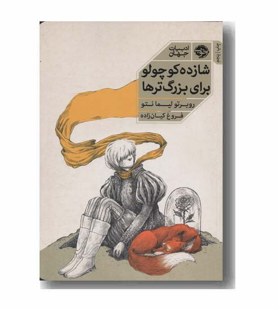 شازده کوچولو برای بزرگترها