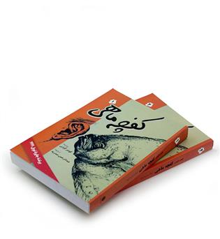 کفچه ماهی  دوره 2 جلدی