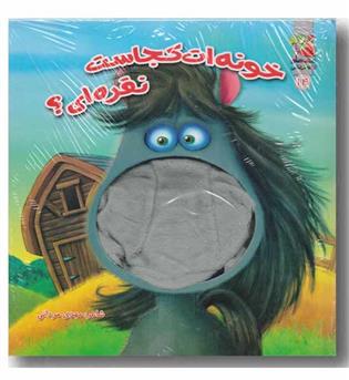 کتاب عروسک دهنی خونه ات کجاست نقره ای