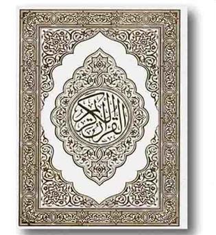قلم قرآنی رحلی لب طلا جعبه طلقی 