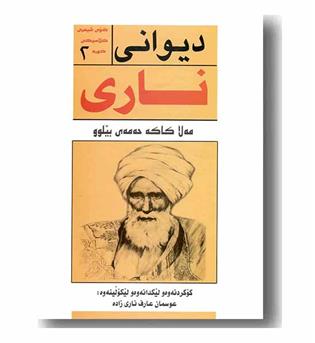 دیوانی ناری 