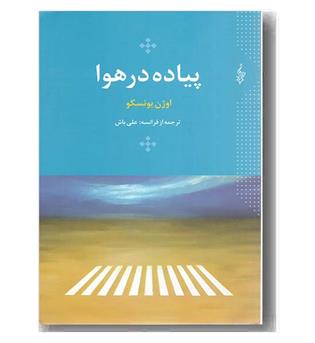 پیاده در هوا