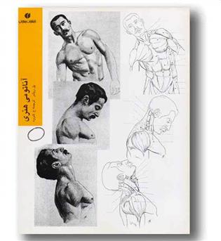 آناتومی هنری