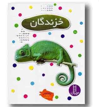 بچسبان و بیاموز 8 خزندگان