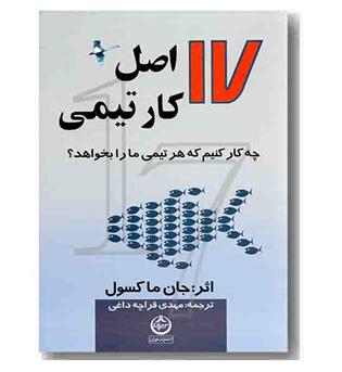 17 اصل کار تیمی