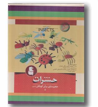 حجم سازی برای کودکان 5 حشرات