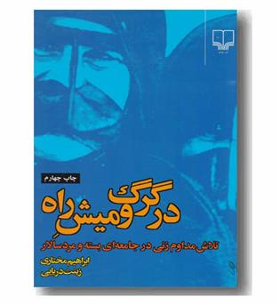 در گرگ و میش راه