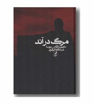مرگ در آند