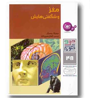 چرا و چگونه 48 مغز و شگفتی هایش