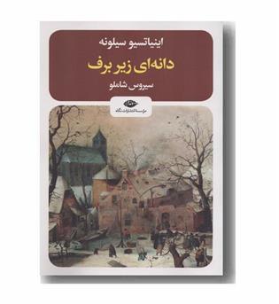 دانه ای زیر برف