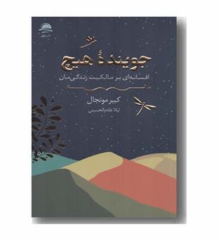 جوینده هیچ
