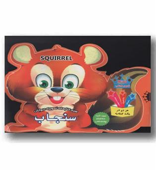 سری کتاب های تصویری حیوانات سنجاب